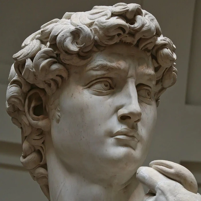 La cabeza del David de Miguel Ángel